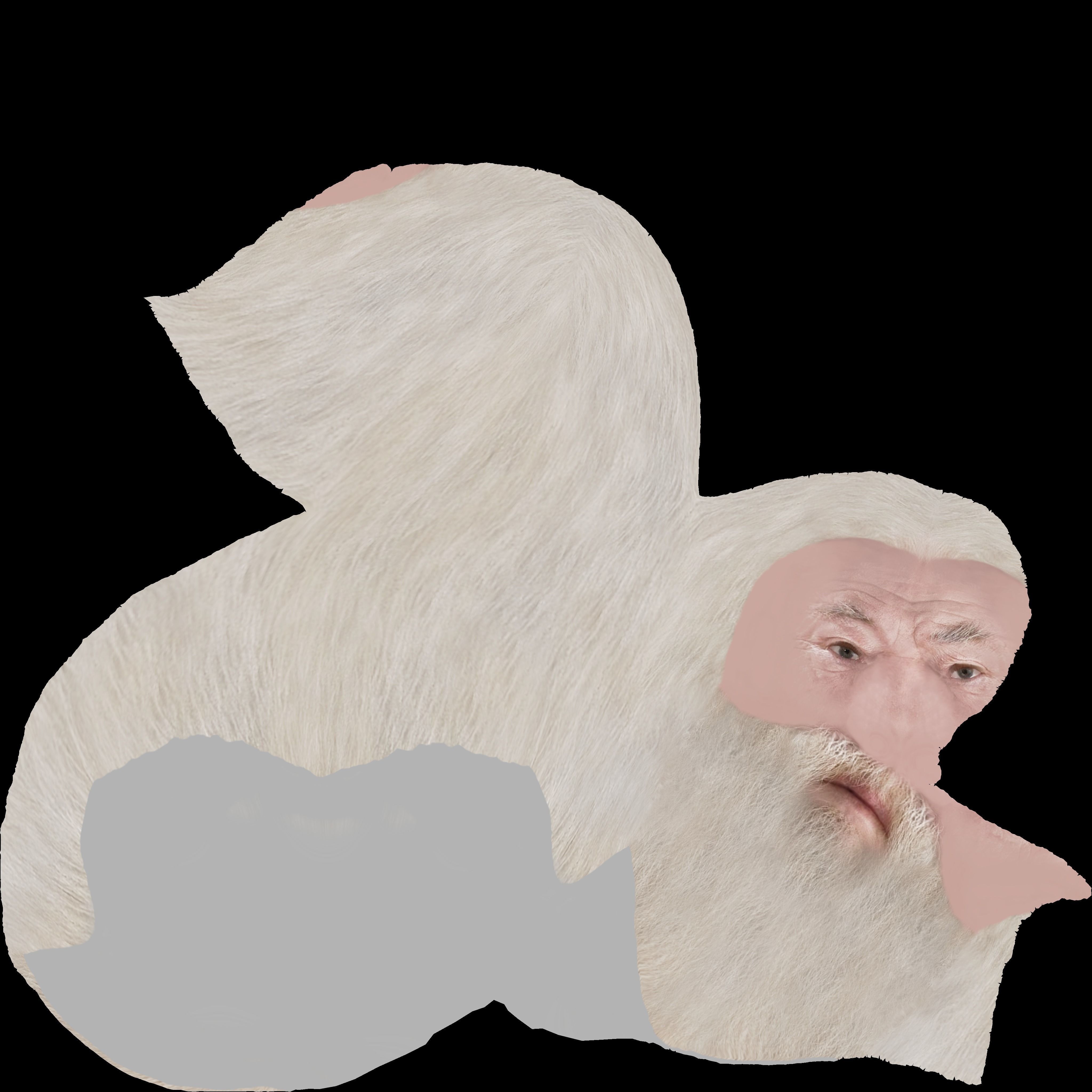 Dumbledore from Harry Potter bust for full color 3D printing 3D print model_23