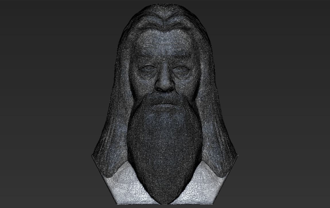 Dumbledore from Harry Potter bust for full color 3D printing 3D print model_47