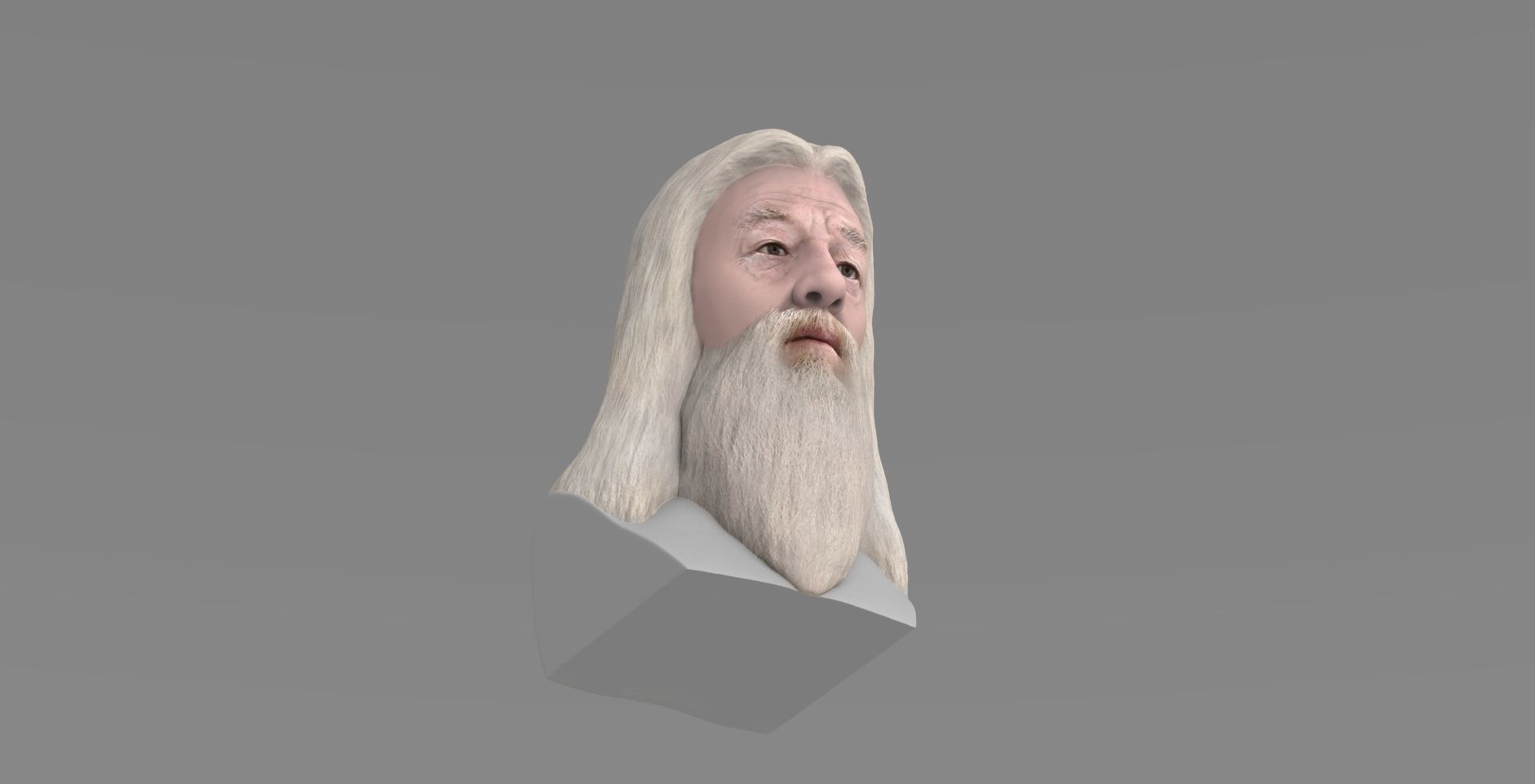 Dumbledore from Harry Potter bust for full color 3D printing 3D print model_14