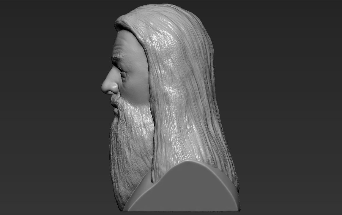 Dumbledore from Harry Potter bust for full color 3D printing 3D print model_27