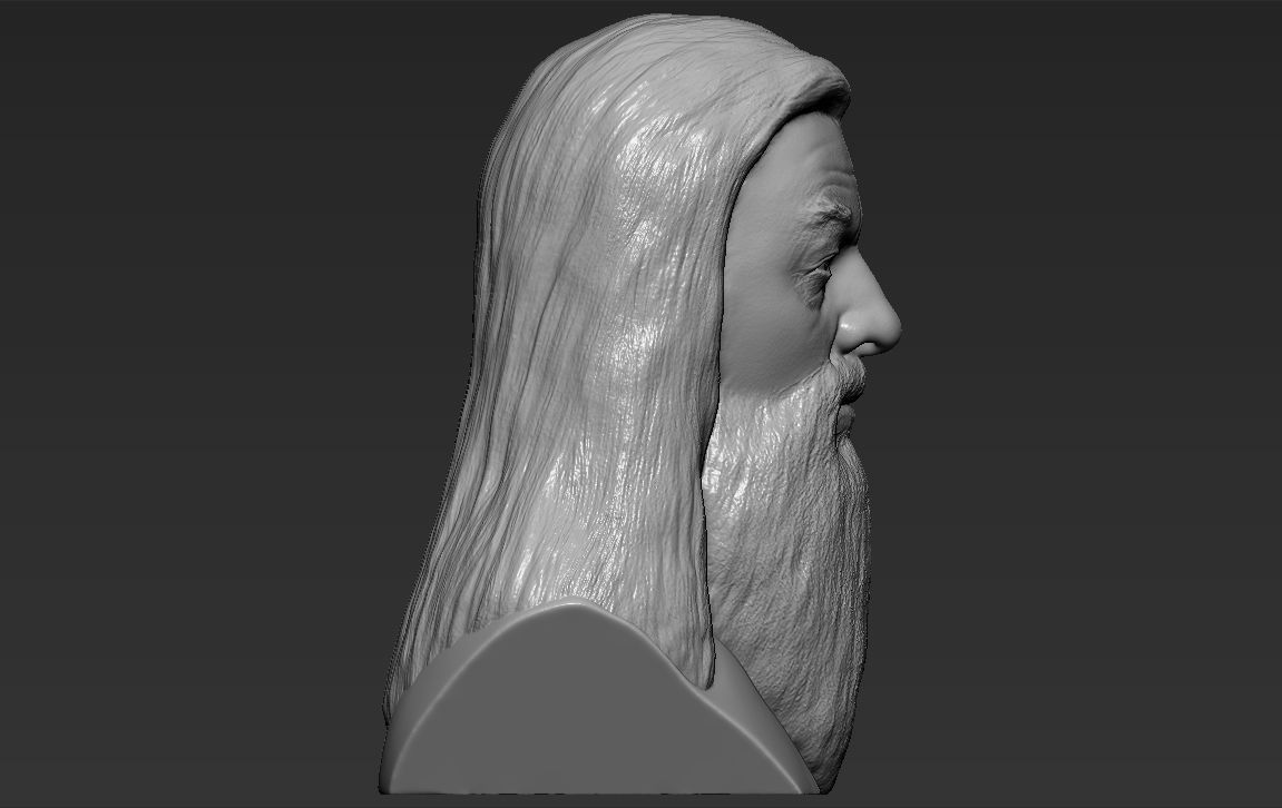 Dumbledore from Harry Potter bust for full color 3D printing 3D print model_31