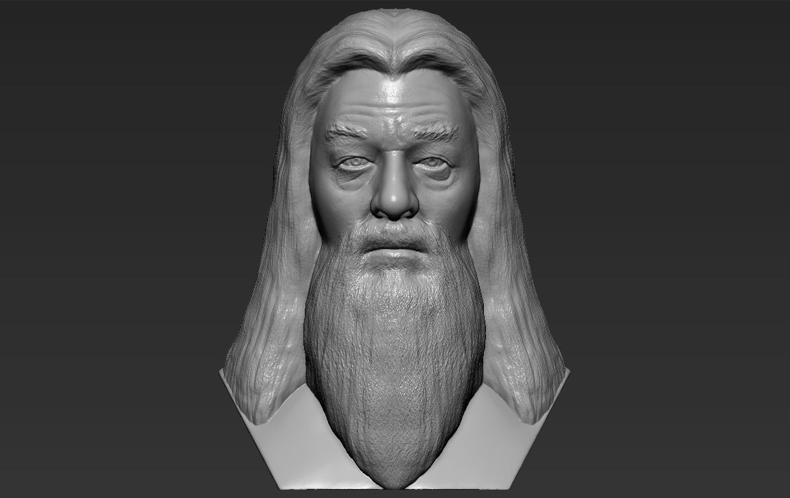 Dumbledore from Harry Potter bust for full color 3D printing 3D print model_24