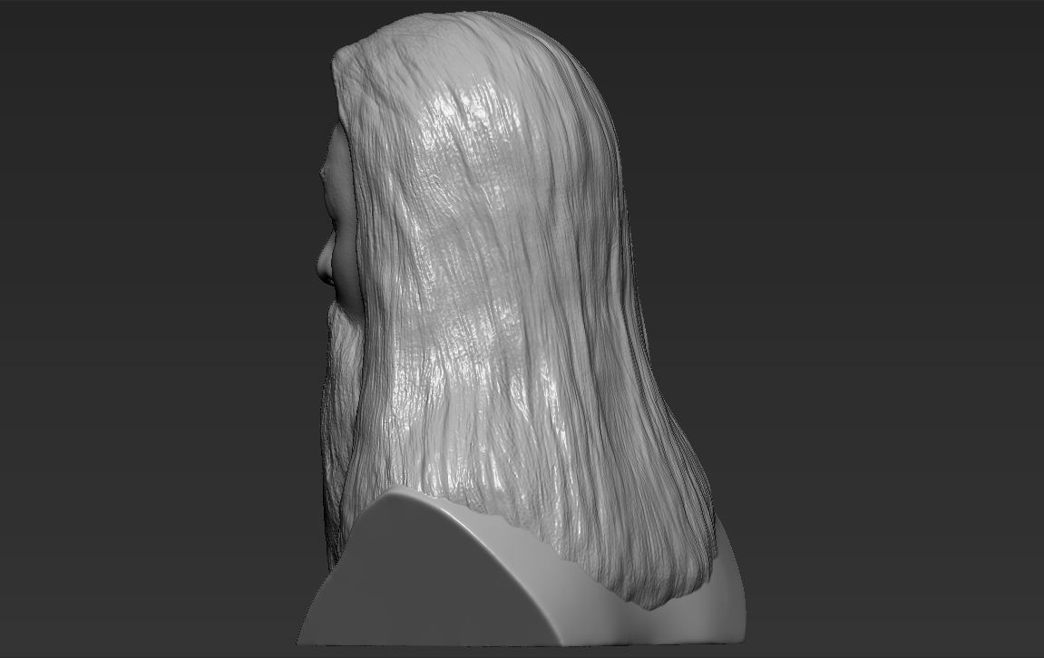 Dumbledore from Harry Potter bust for full color 3D printing 3D print model_28