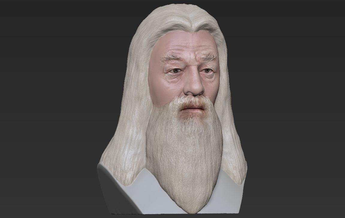 Dumbledore from Harry Potter bust for full color 3D printing 3D print model_18