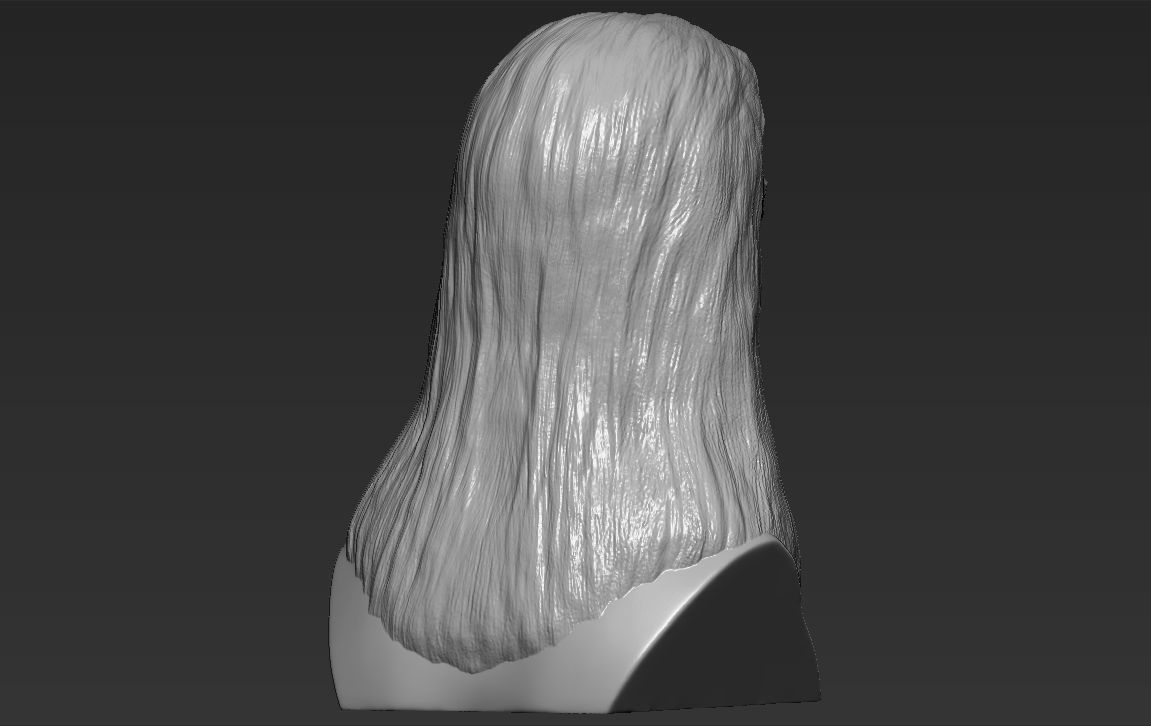Dumbledore from Harry Potter bust for full color 3D printing 3D print model_30