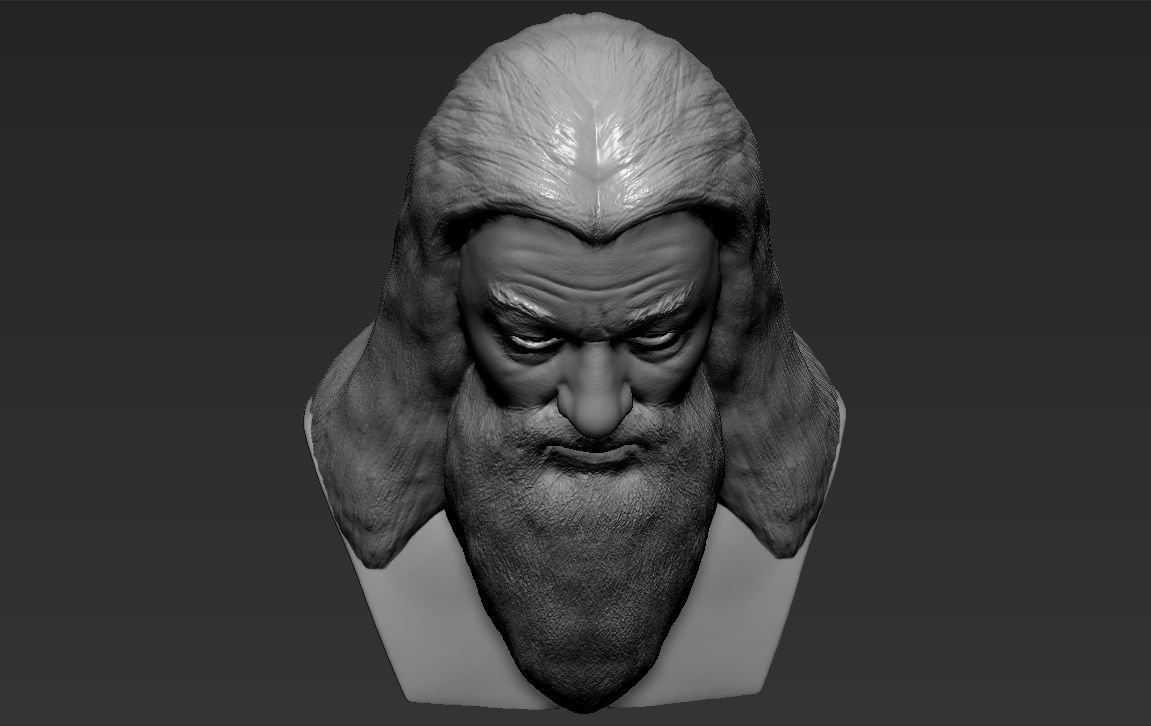 Dumbledore from Harry Potter bust for full color 3D printing 3D print model_37