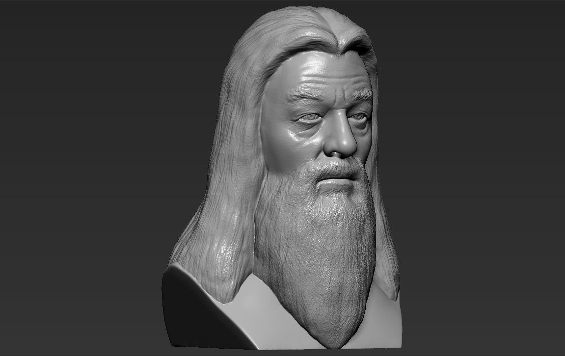 Dumbledore from Harry Potter bust for full color 3D printing 3D print model_33