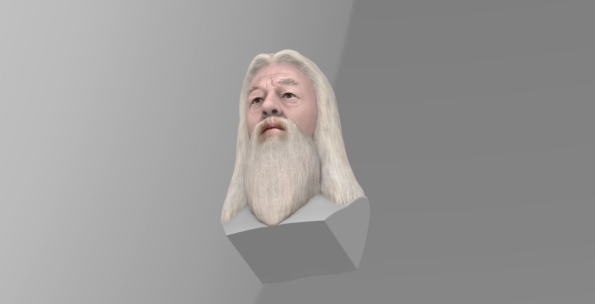 Dumbledore from Harry Potter bust for full color 3D printing 3D print model_15