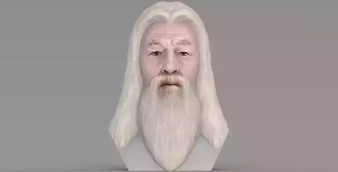 Dumbledore from Harry Potter bust for full color 3D printing 3D print model