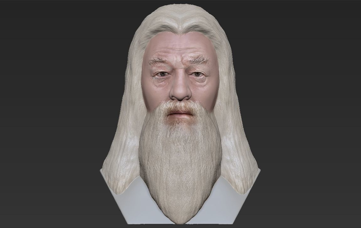 Dumbledore from Harry Potter bust for full color 3D printing 3D print model_16