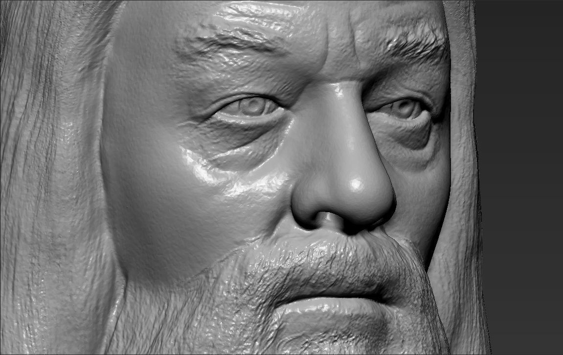 Dumbledore from Harry Potter bust for full color 3D printing 3D print model_46