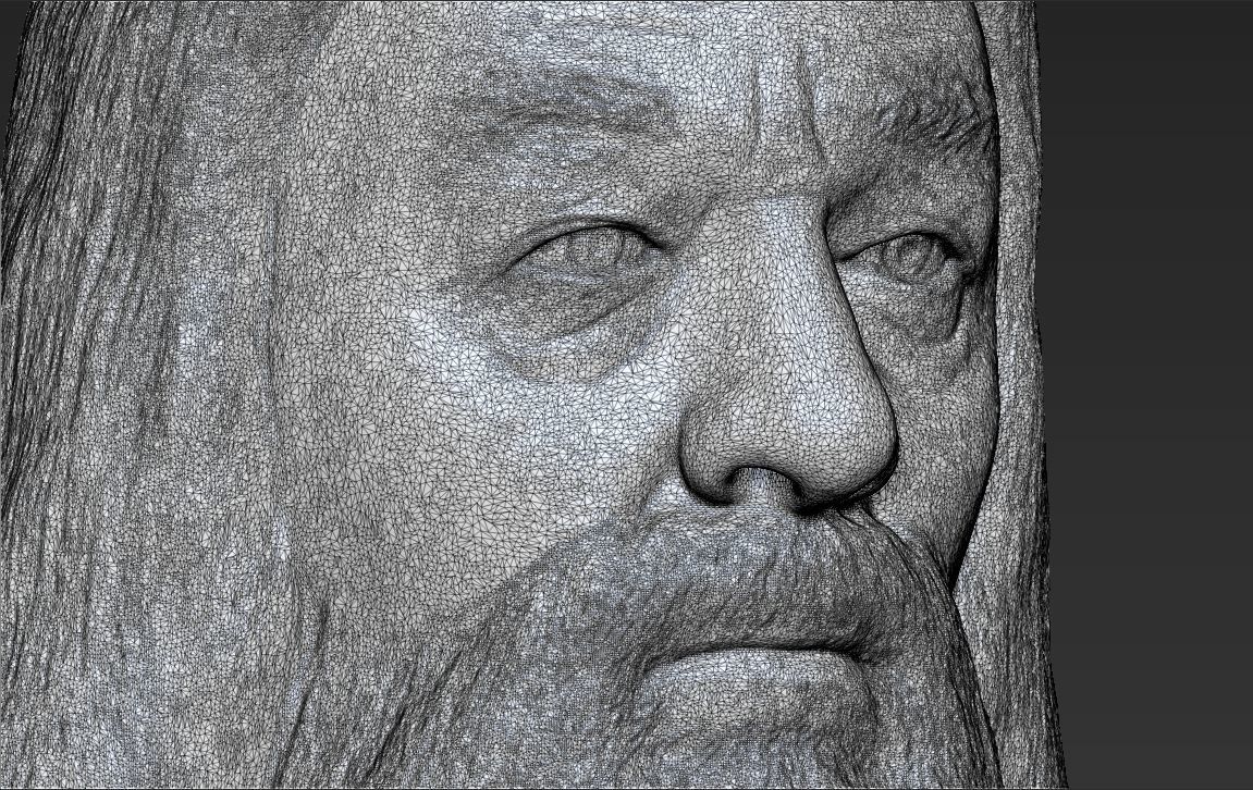 Dumbledore from Harry Potter bust for full color 3D printing 3D print model_49