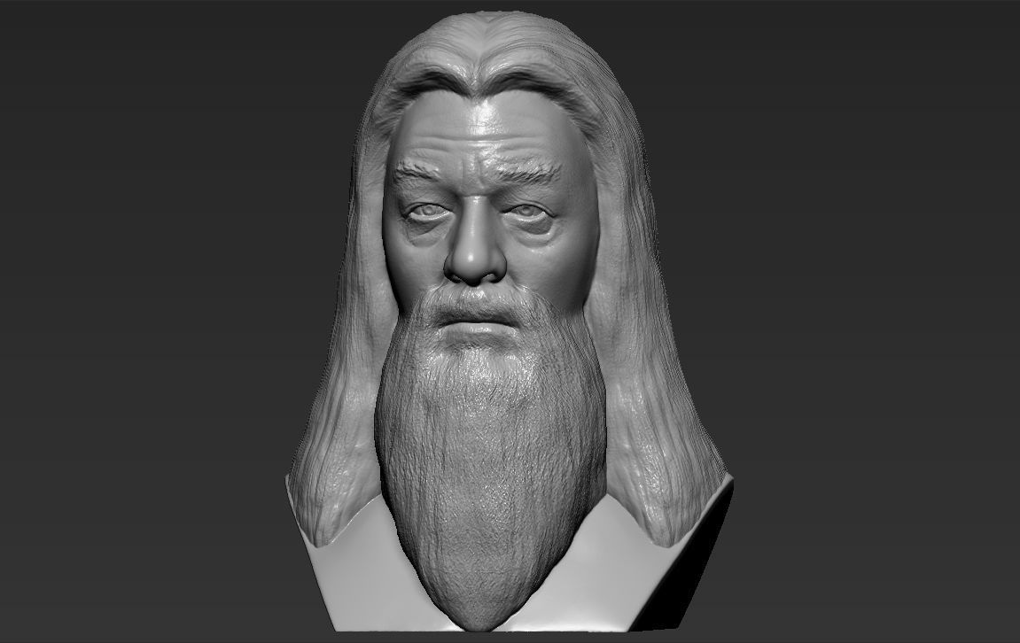 Dumbledore from Harry Potter bust for full color 3D printing 3D print model_25