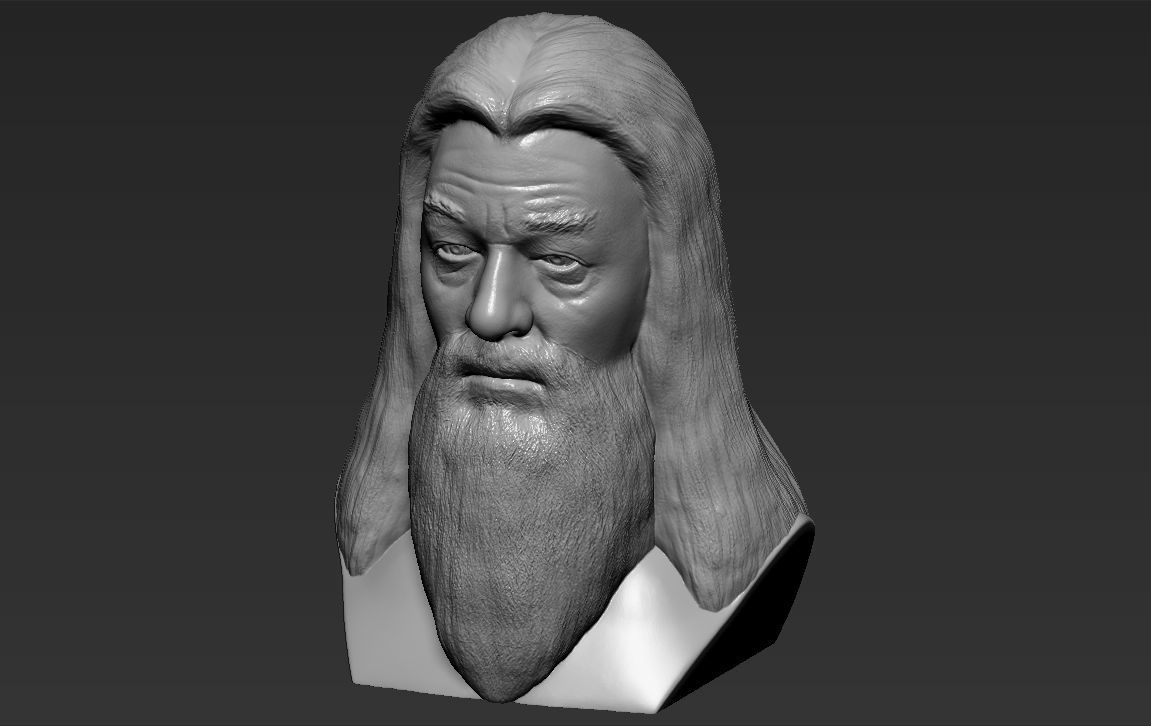 Dumbledore from Harry Potter bust for full color 3D printing 3D print model_36