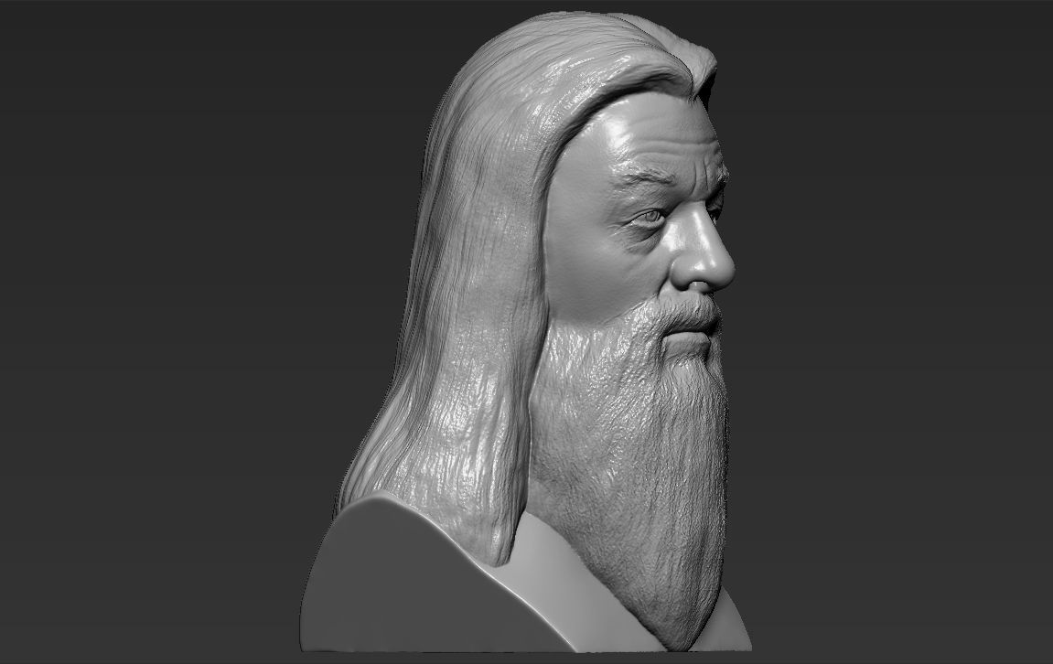 Dumbledore from Harry Potter bust for full color 3D printing 3D print model_32