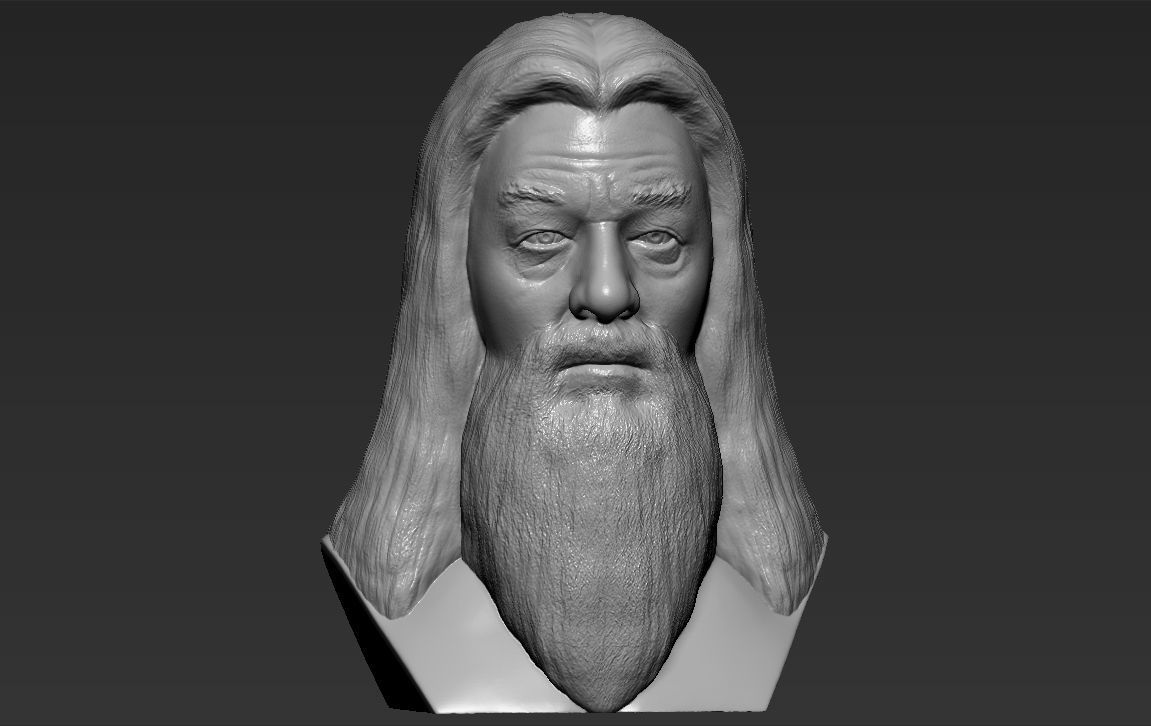 Dumbledore from Harry Potter bust for full color 3D printing 3D print model_38