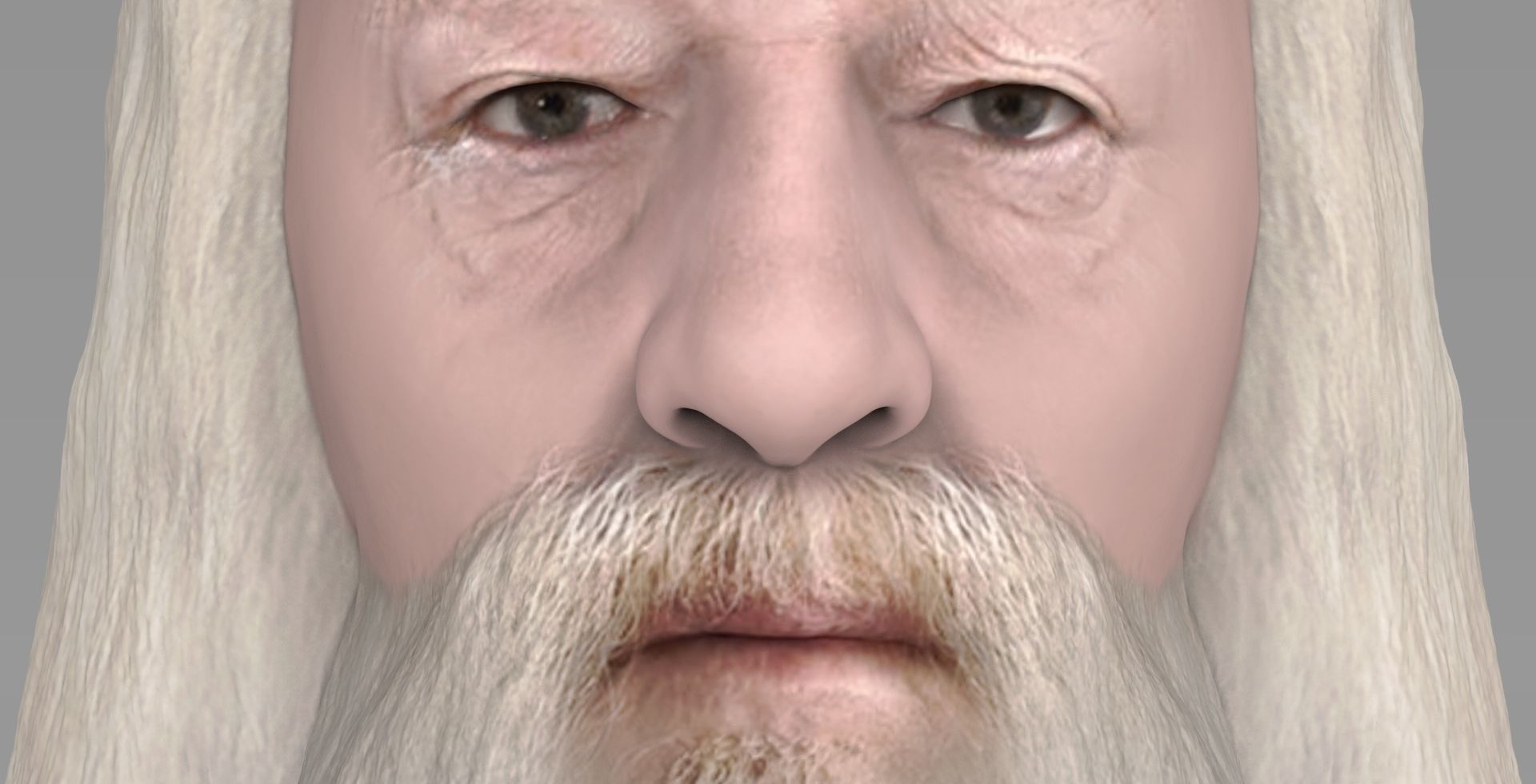 Dumbledore from Harry Potter bust for full color 3D printing 3D print model_12