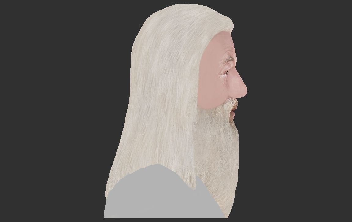 Dumbledore from Harry Potter bust for full color 3D printing 3D print model_22