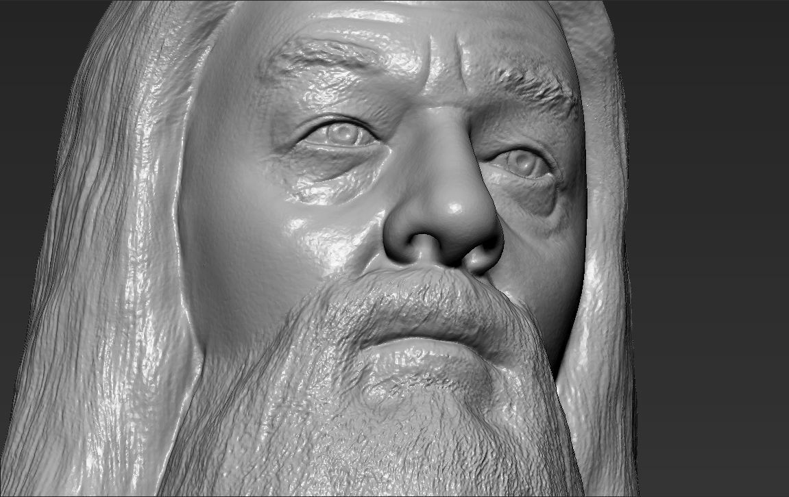 Dumbledore from Harry Potter bust for full color 3D printing 3D print model_41
