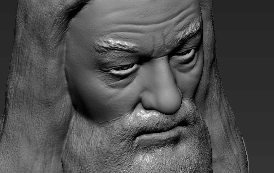 Dumbledore from Harry Potter bust for full color 3D printing 3D print model_40