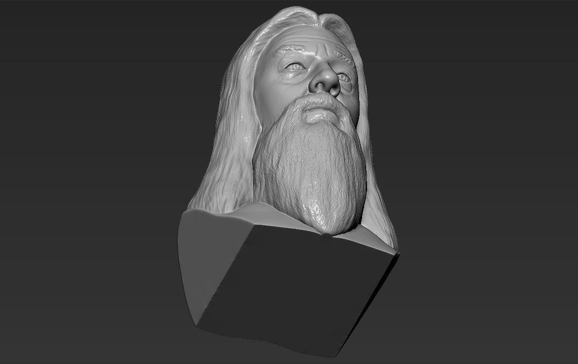 Dumbledore from Harry Potter bust for full color 3D printing 3D print model_42