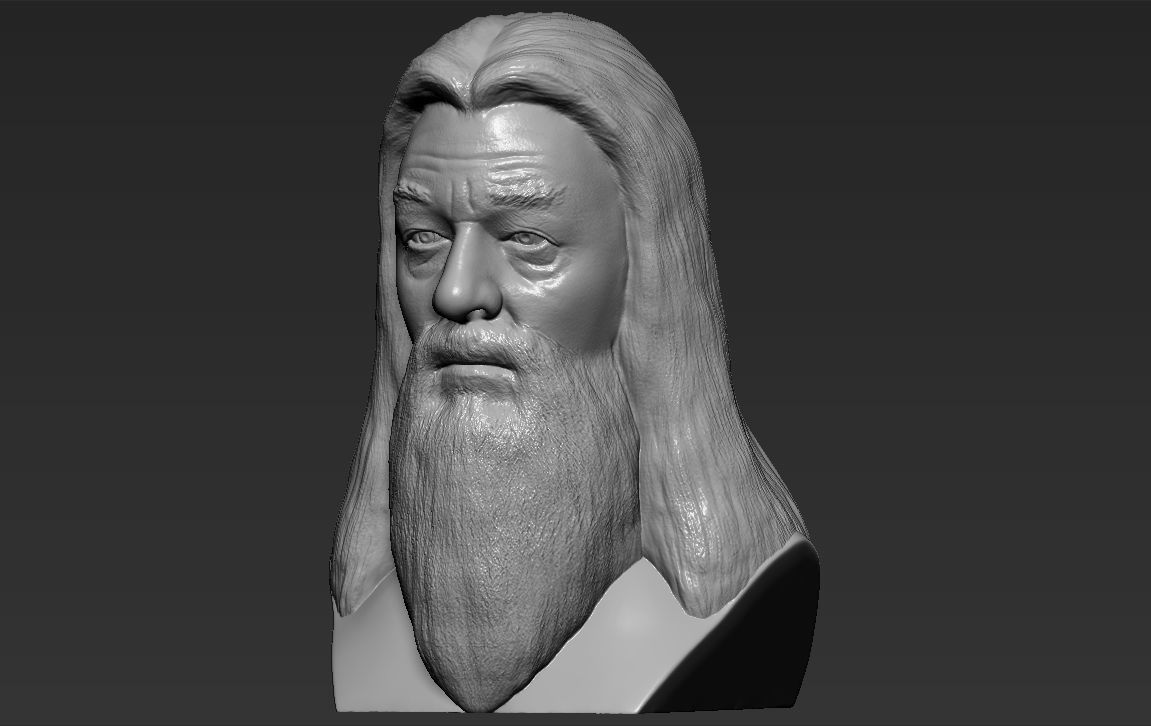 Dumbledore from Harry Potter bust for full color 3D printing 3D print model_26