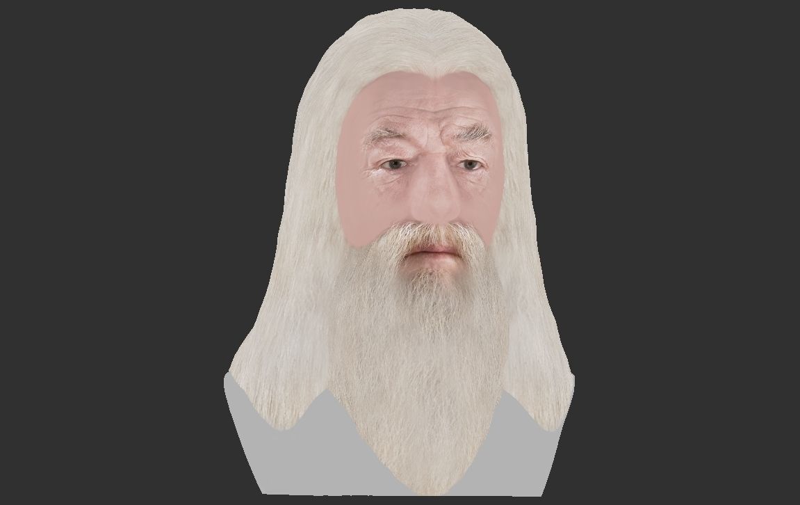 Dumbledore from Harry Potter bust for full color 3D printing 3D print model_21