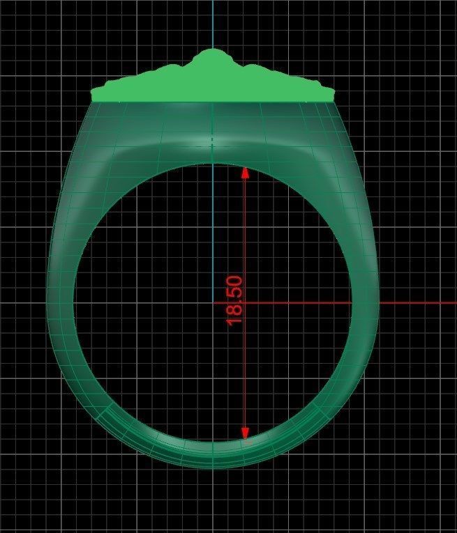 Ring rz 132 3D print model_6
