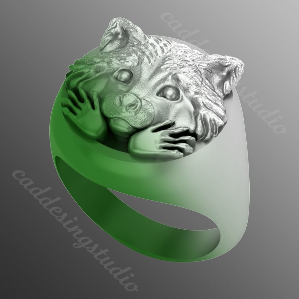 Ring rz 132 3D print model_1