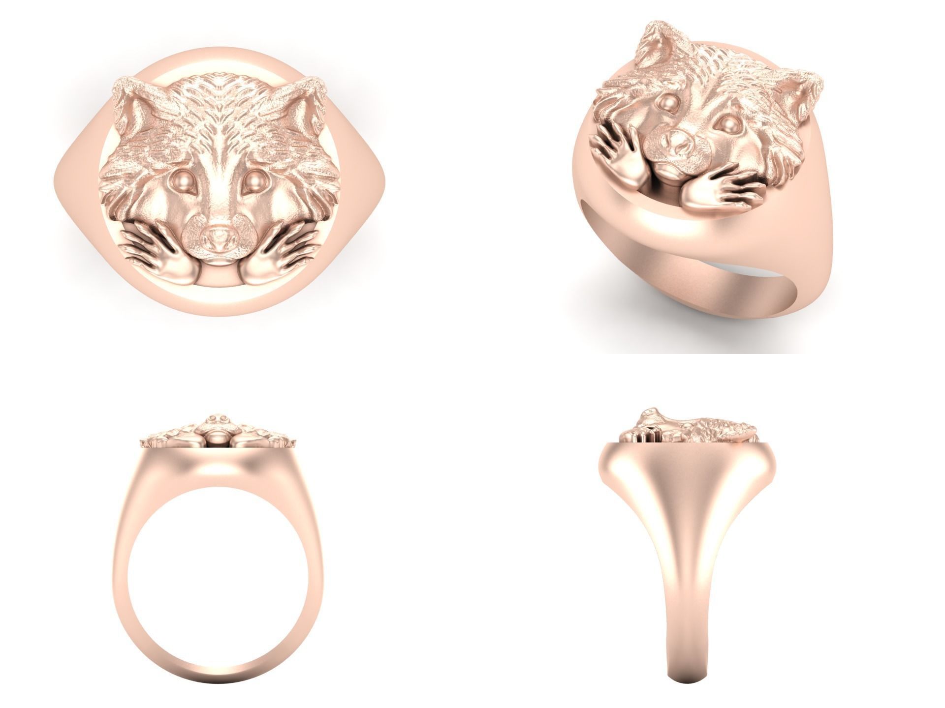 Ring rz 132 3D print model_5