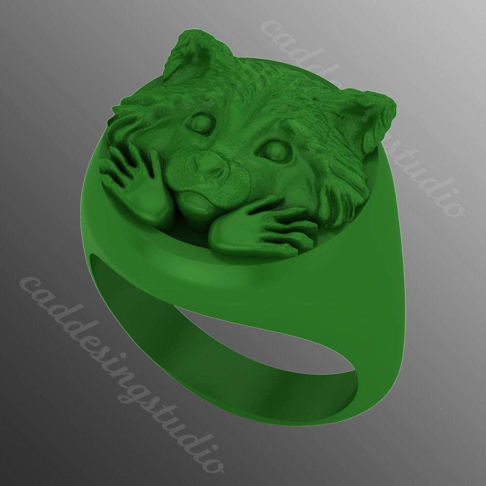 Ring rz 132 3D print model_2