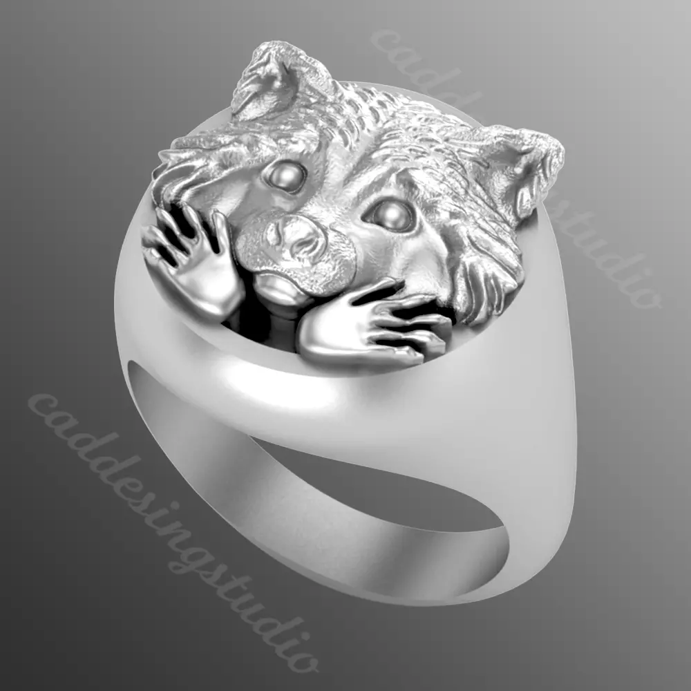 Ring rz 132 3D print model_0