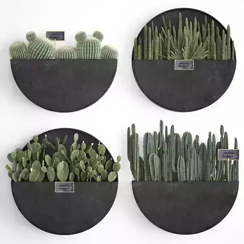 Cactus set wall decor vertical garden 55