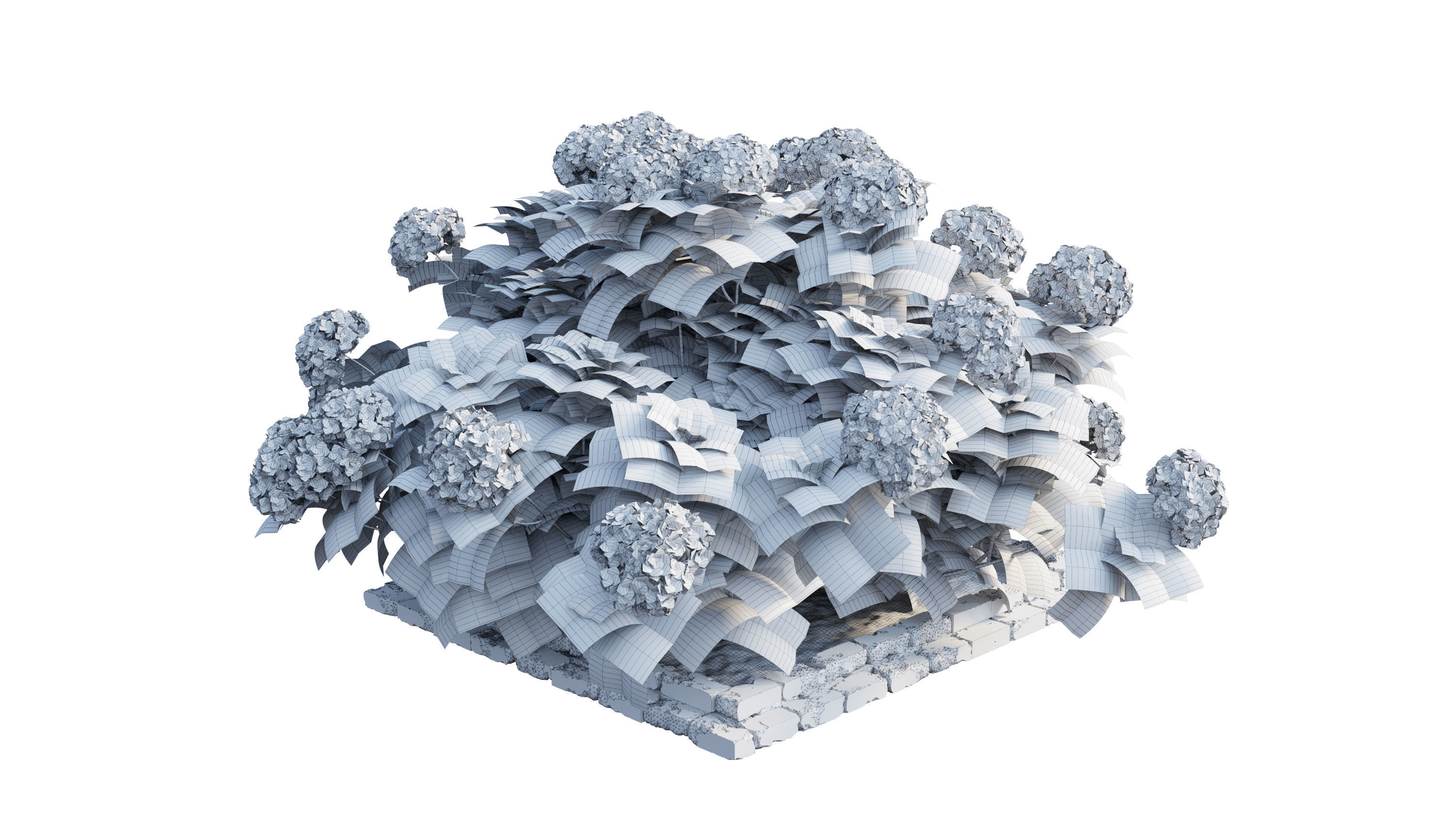 Plants Hydrangea set 13 3D model_27