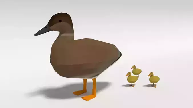 Low Poly Cartoon Gadwall Duck