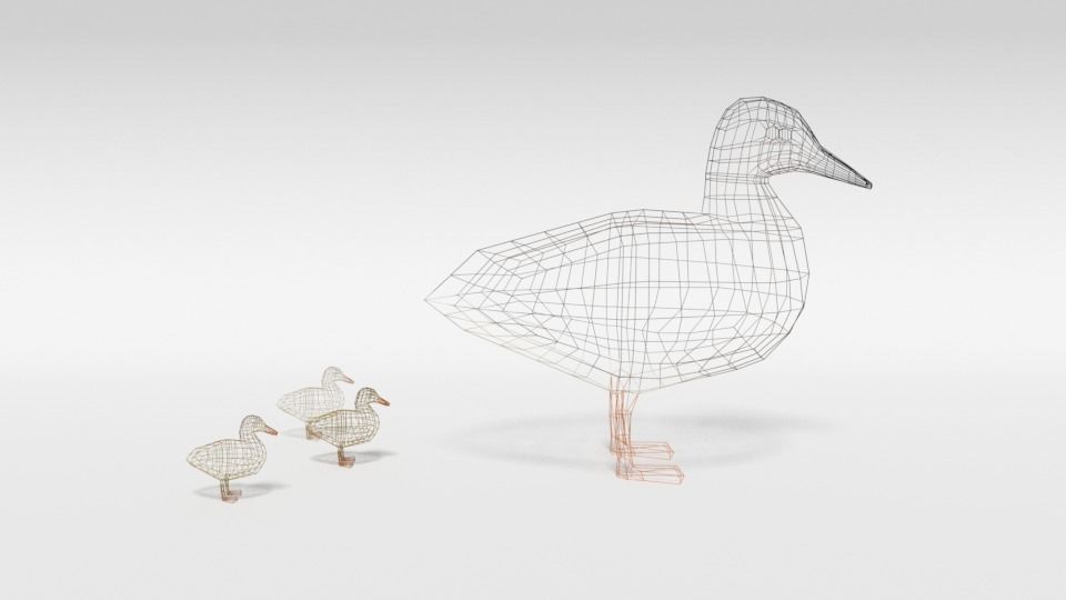 Low Poly Cartoon Gadwall Duck Low-poly 3D model_13