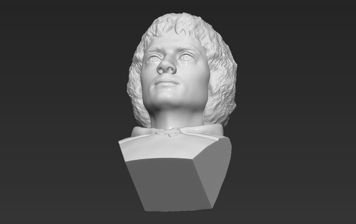 Frodo Baggins The Lord of the Rings bust 3D printing ready  3D print model_22