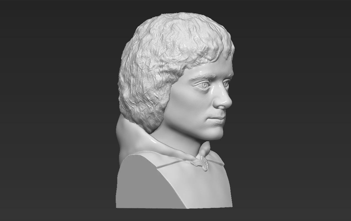 Frodo Baggins The Lord of the Rings bust 3D printing ready  3D print model_8
