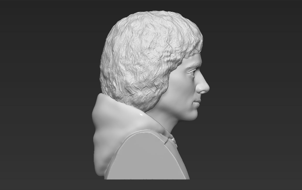 Frodo Baggins The Lord of the Rings bust 3D printing ready  3D print model_7