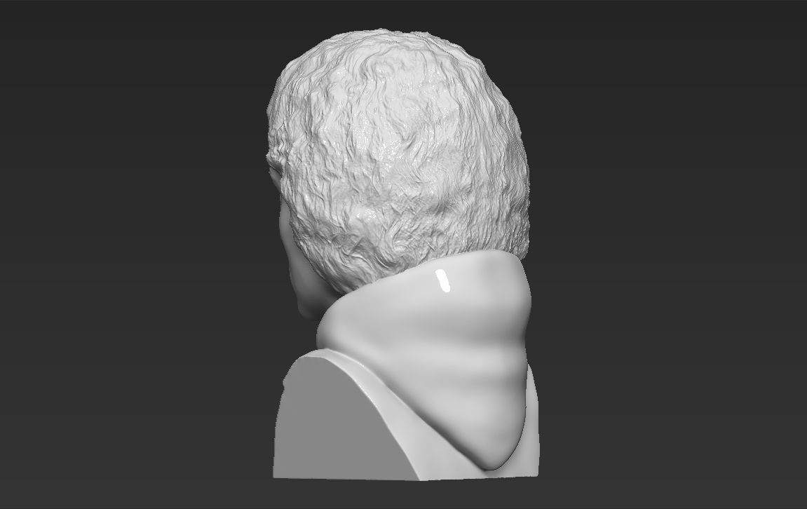 Frodo Baggins The Lord of the Rings bust 3D printing ready  3D print model_4