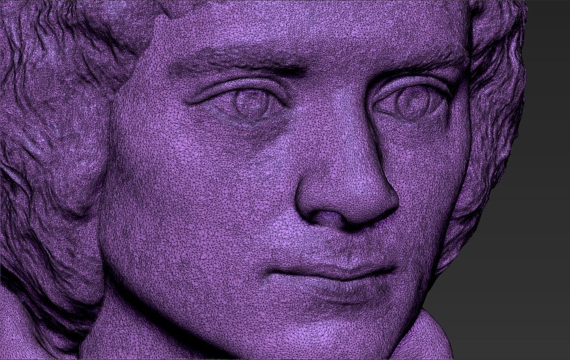 Frodo Baggins The Lord of the Rings bust 3D printing ready  3D print model_27