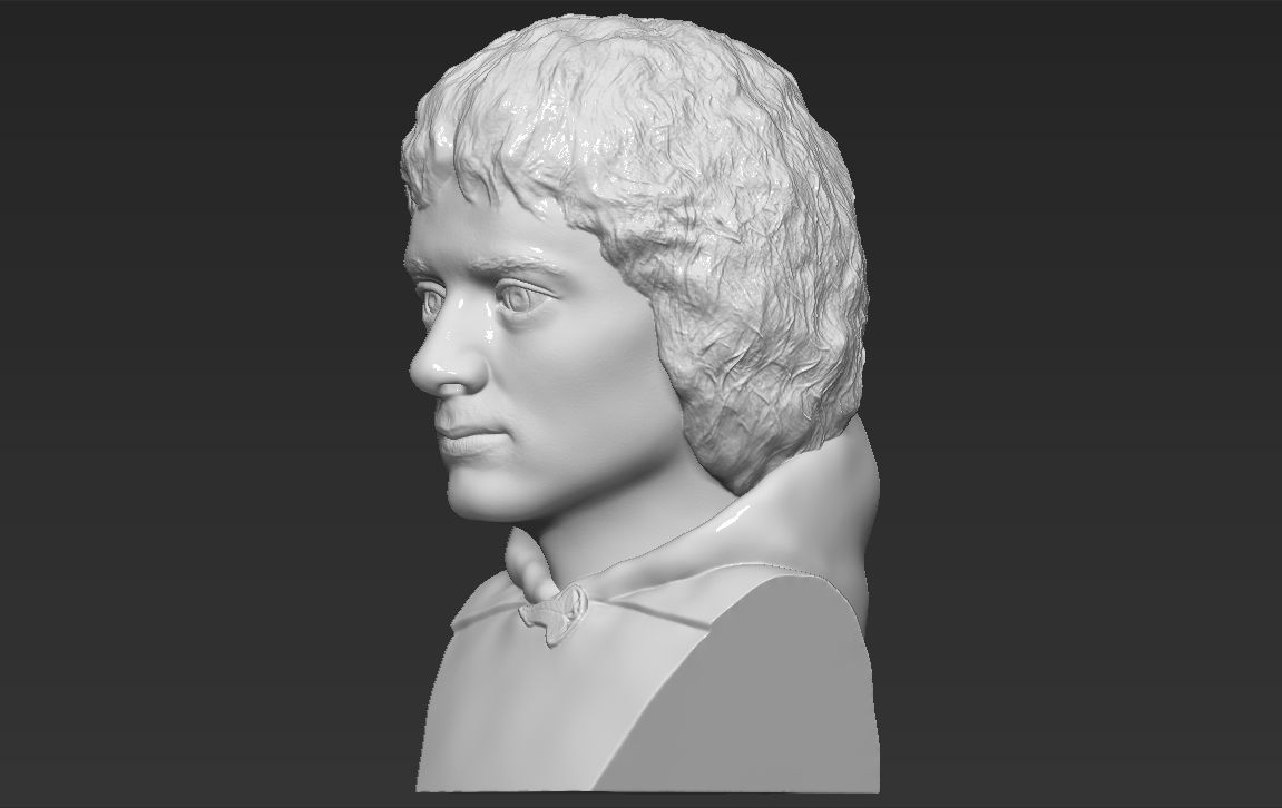 Frodo Baggins The Lord of the Rings bust 3D printing ready  3D print model_2