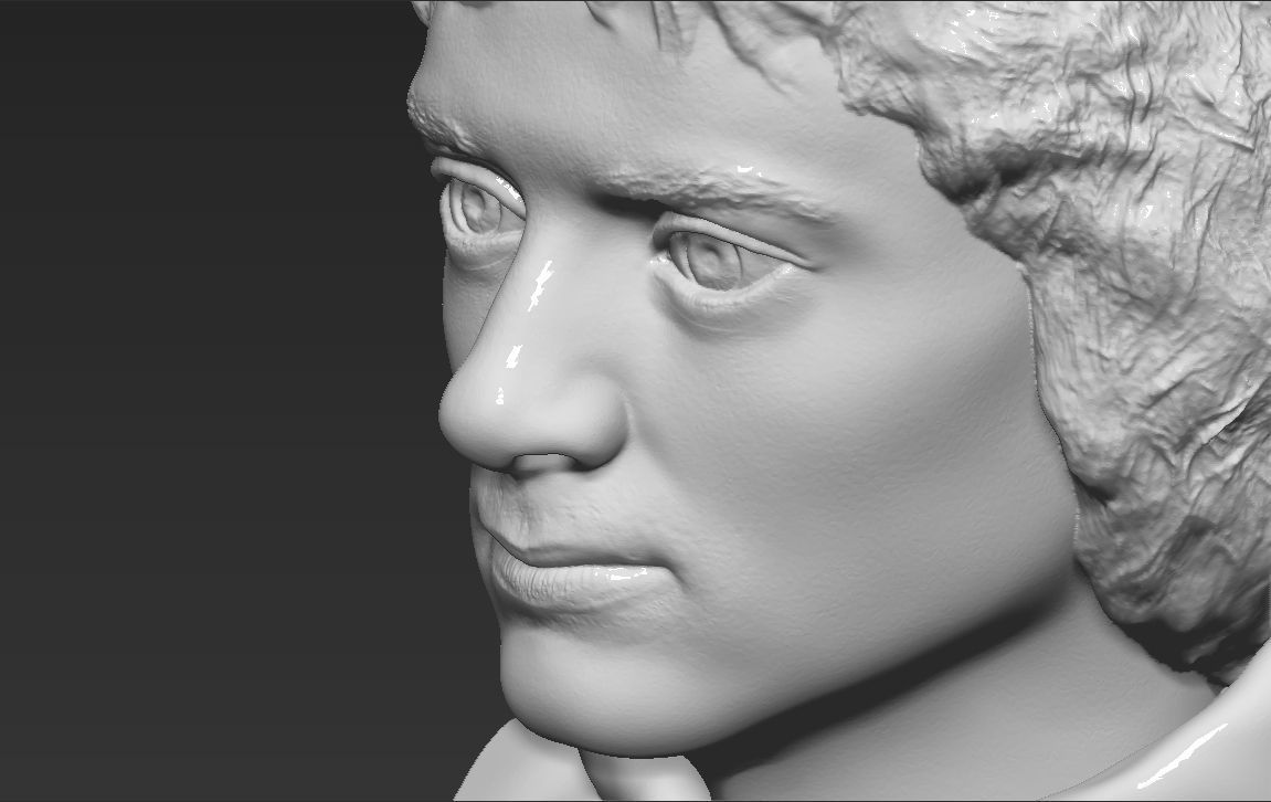 Frodo Baggins The Lord of the Rings bust 3D printing ready  3D print model_18
