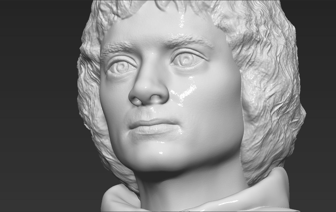 Frodo Baggins The Lord of the Rings bust 3D printing ready  3D print model_20