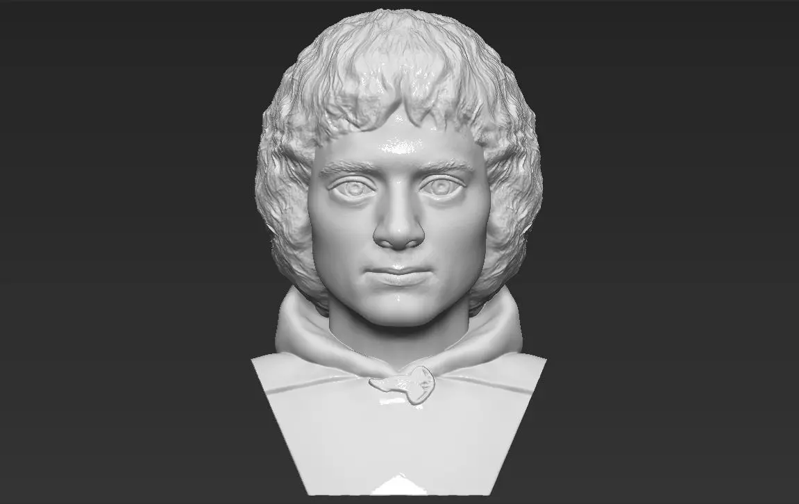 Frodo Baggins The Lord of the Rings bust 3D printing ready  3D print model_0