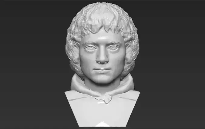 Frodo Baggins The Lord of the Rings bust 3D printing ready  3D print model