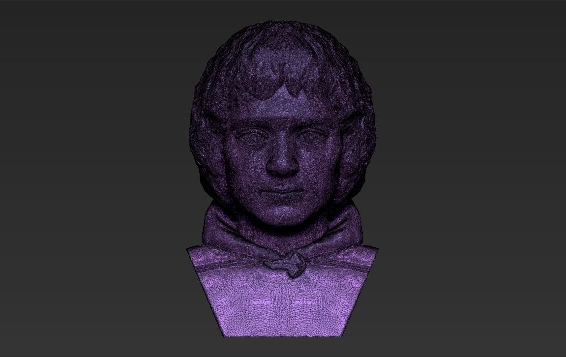 Frodo Baggins The Lord of the Rings bust 3D printing ready  3D print model_25