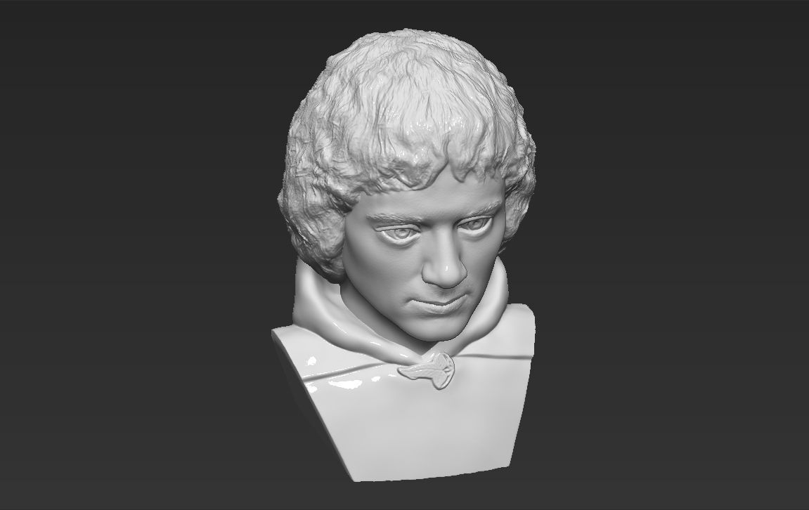 Frodo Baggins The Lord of the Rings bust 3D printing ready  3D print model_11