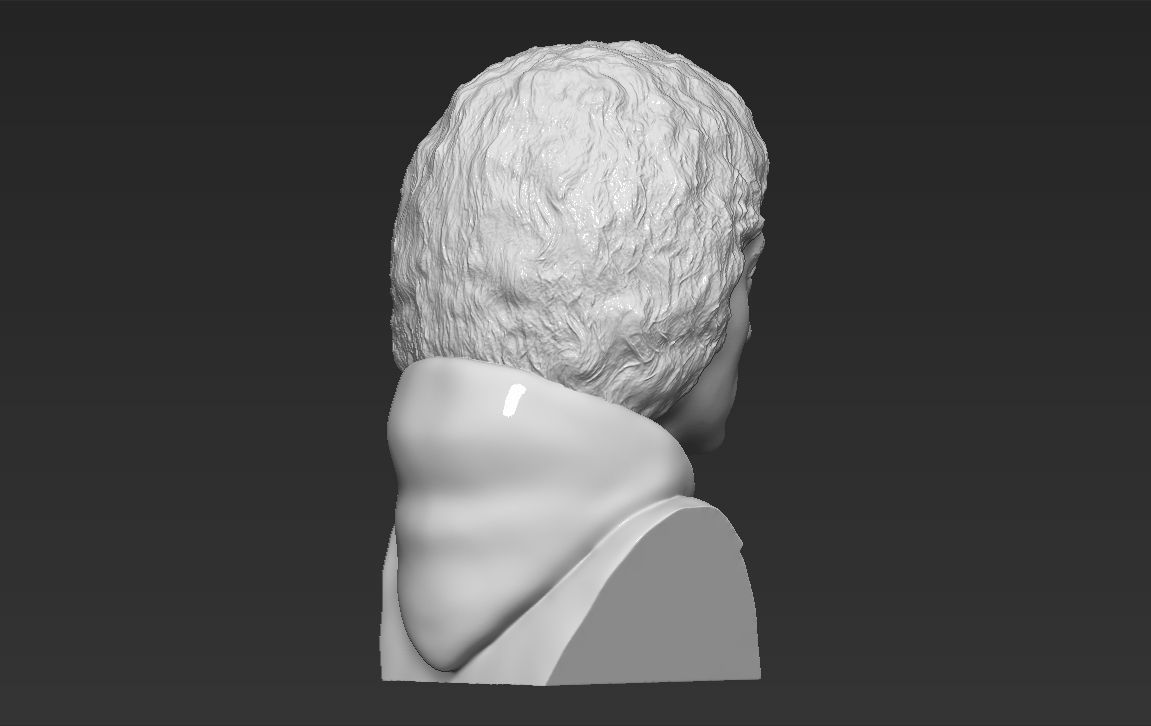 Frodo Baggins The Lord of the Rings bust 3D printing ready  3D print model_6