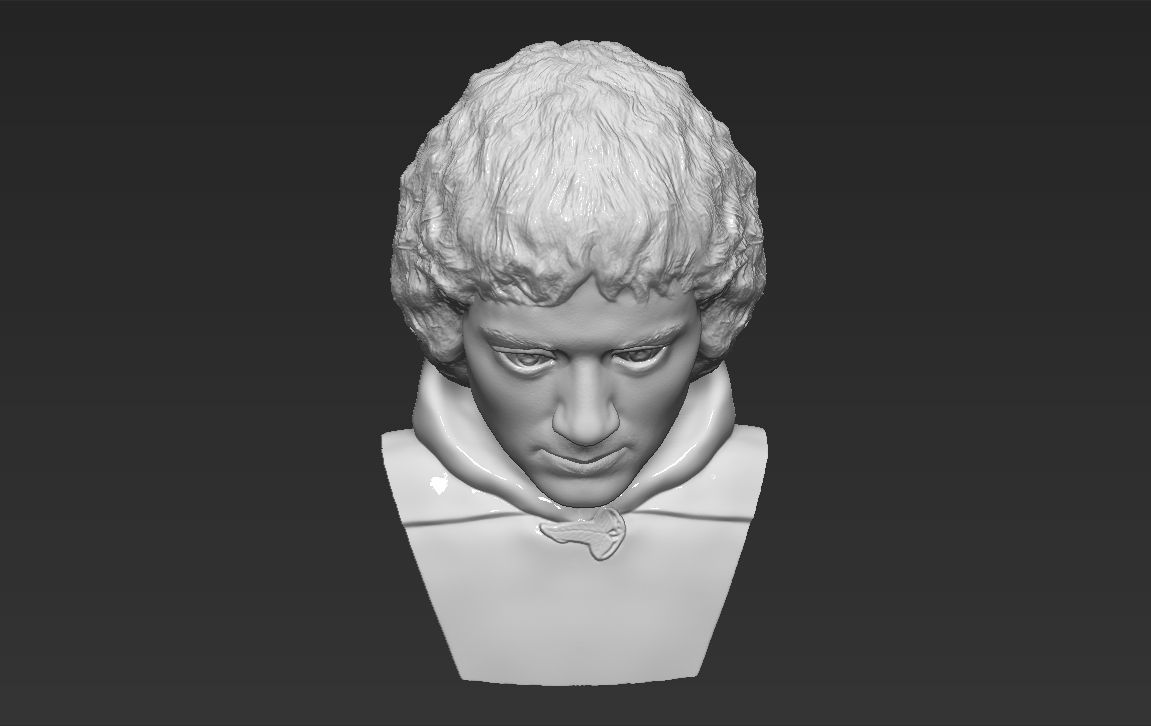 Frodo Baggins The Lord of the Rings bust 3D printing ready  3D print model_13